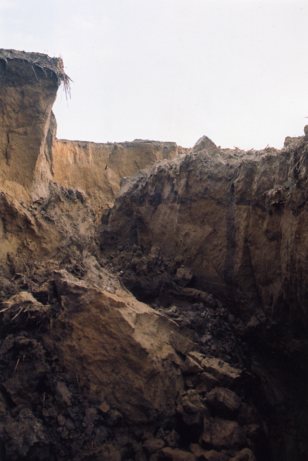 Ravines de plus de 2 mètres de profondeur formées après une pluie d'orage au Val de Tessy - 2012