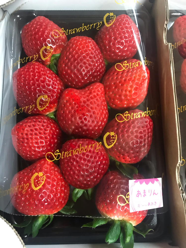 苺ファームあおき へようこそ Aoki Farm ページ 苺ファームあおき へようこそ Aoki Farm ページ