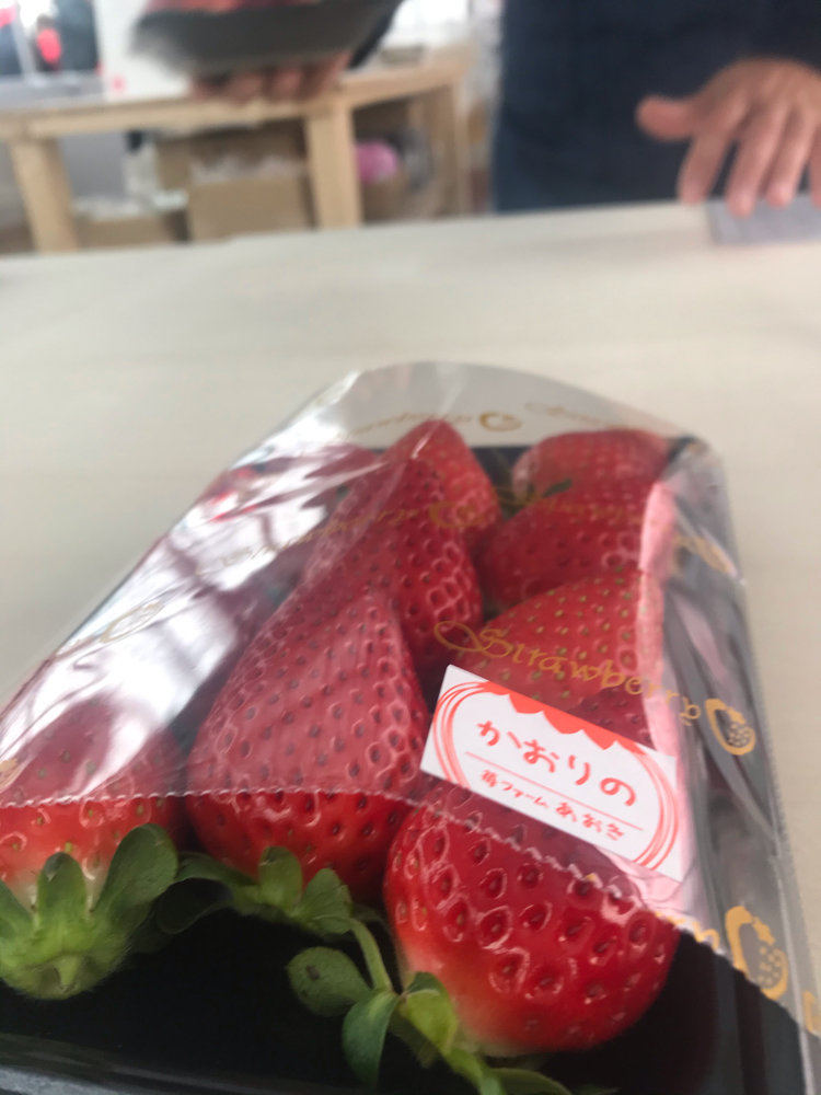 苺ファームあおき へようこそ Aoki Farm ページ 苺ファームあおき へようこそ Aoki Farm ページ