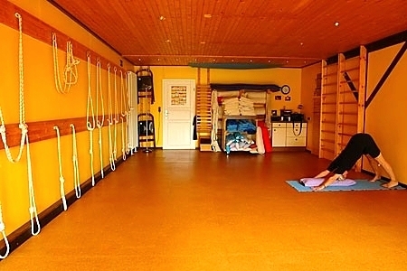 Adho-Mukha-Svanasana, auch (abwärts blickender) Hund oder Hundestel-lung genannt, ist ein „Schweizer Taschenmesser“ des Yoga. Streckung und Dehnung lassen sich in der milden Umkehrhaltung gut variieren und mit einem Bolster auch sehr beruhigend erleben.