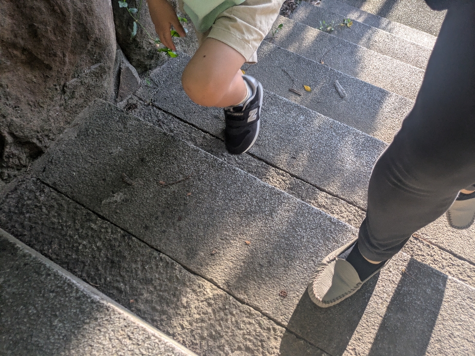 walking training