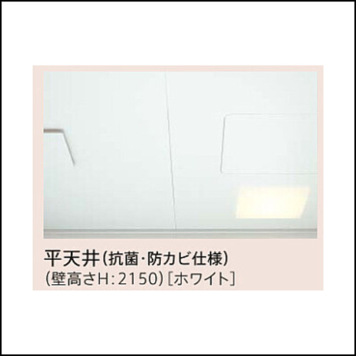 平天井(抗菌・防カビ仕様)