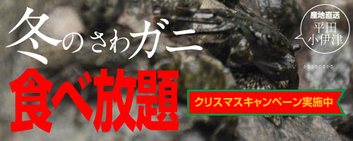 おいしいよ!