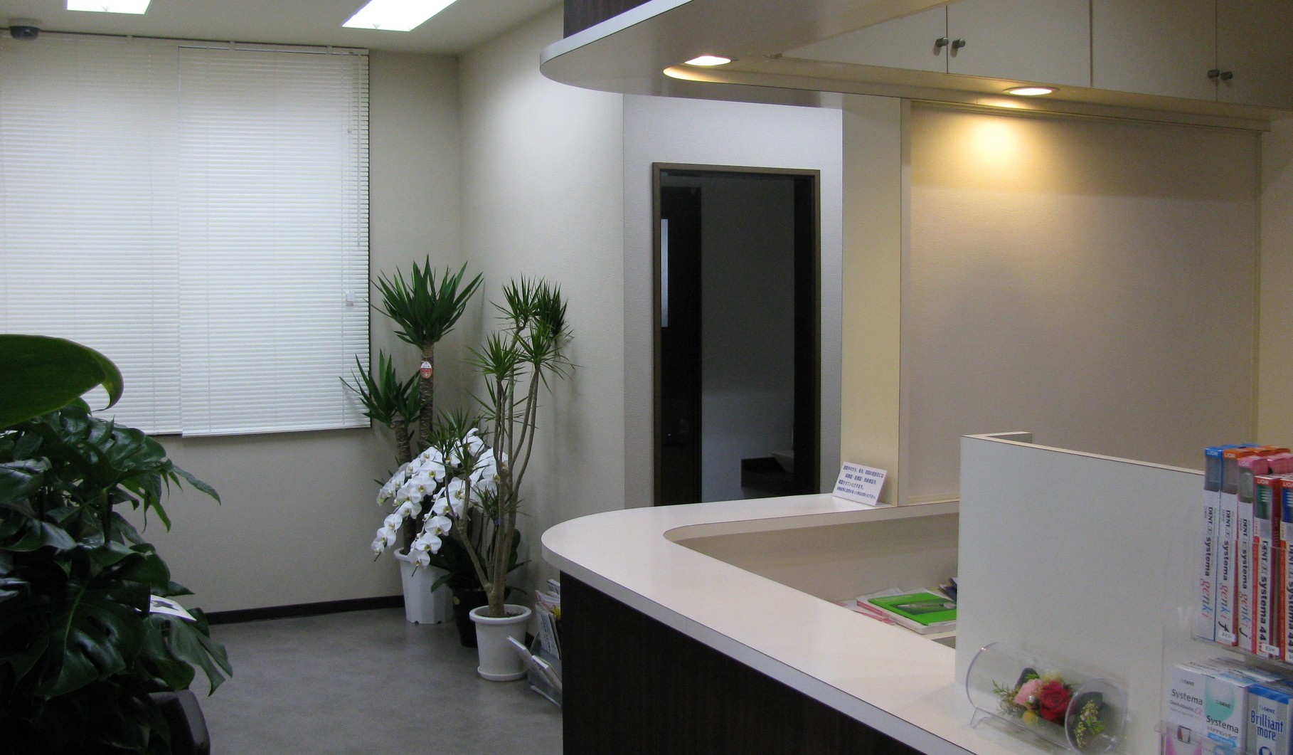 加納歯科医院 大分県津久見市 津久見市 加納歯科医院 歯医者 小児歯科 歯科 むし歯 歯周病 入れ歯 ホワイトニング 矯正