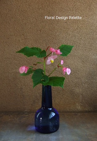 秋海棠 横12cm×高さ22cm 