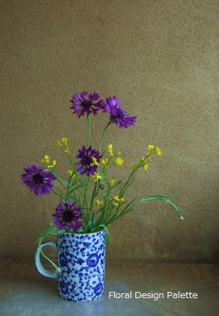 矢車草, 菜の花みたいな花 横26cm×高さ21cm
