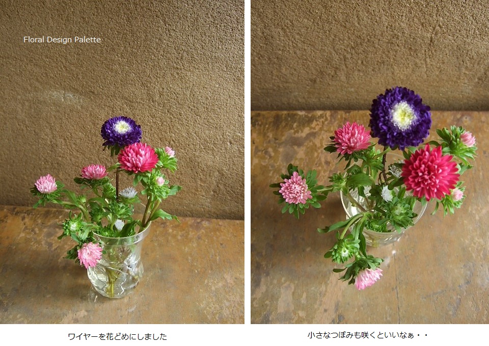 暑いけど、なんとか元気なお花たちです。(横13cm×18cm)
