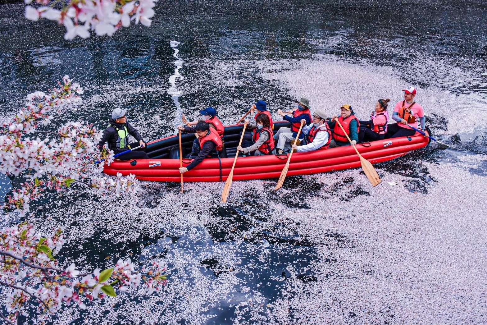 大岡川 桜桟橋 E-BOAT CLUB