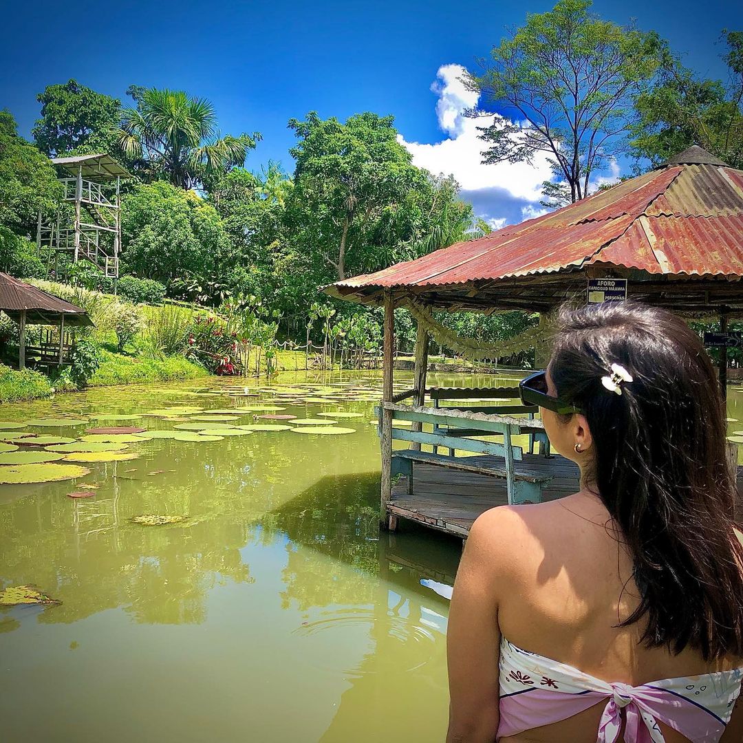 Exploring the Natural Charm of Fundo Pedrito: An Unmissable Tourist Destination in Iquitos