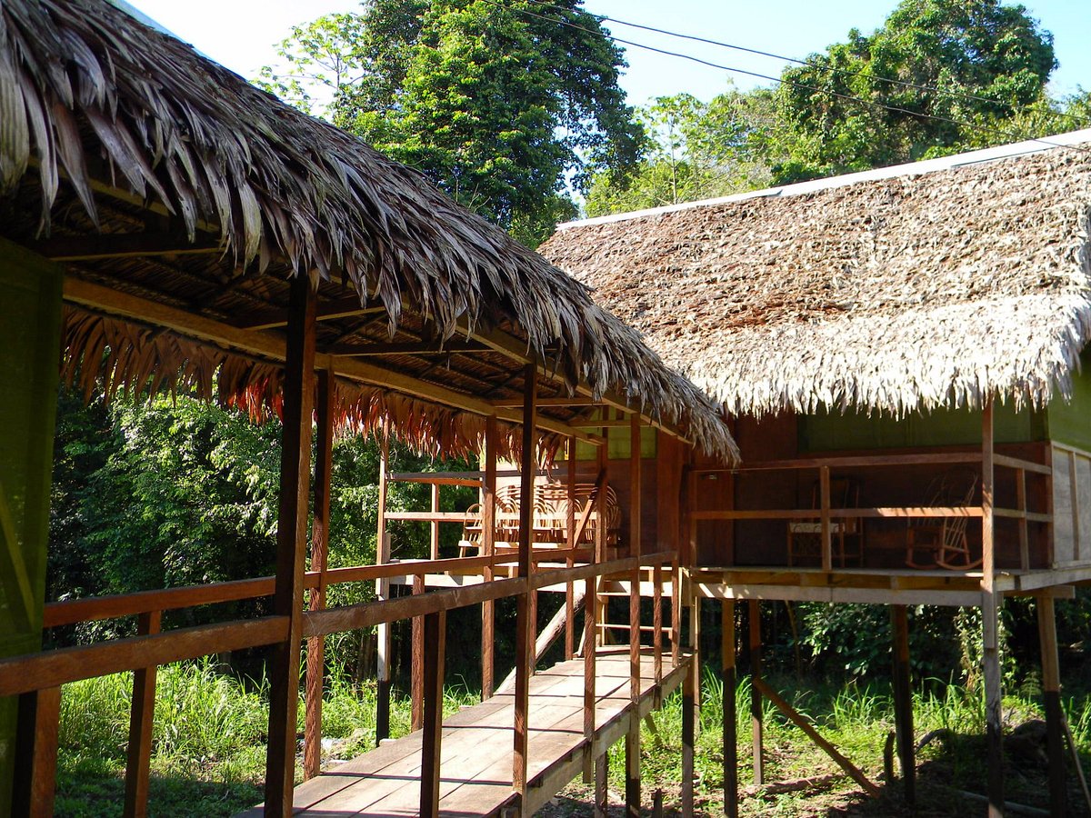 Discover the Amazon from Iquitos: Everything You Need to Know for Your Adventure