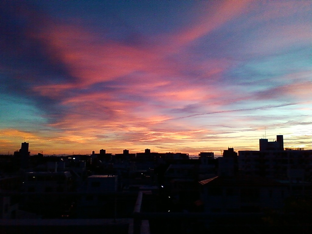 2008.6.19