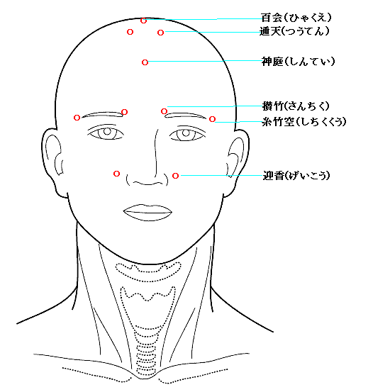 花粉症 蓄膿症 顔面部における治療点
