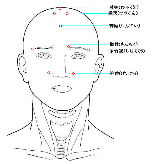 花粉症　蓄膿症　顔面部における治療点