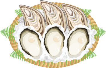 新鮮なかきは日本から