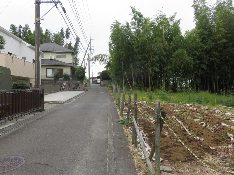 2.右手が早渕川への斜面樹林