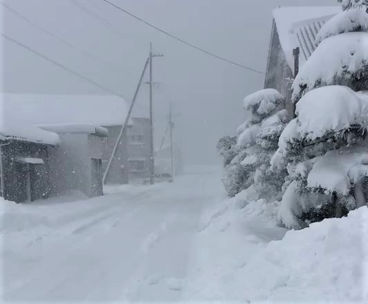 雪の日ですね臨時休業します