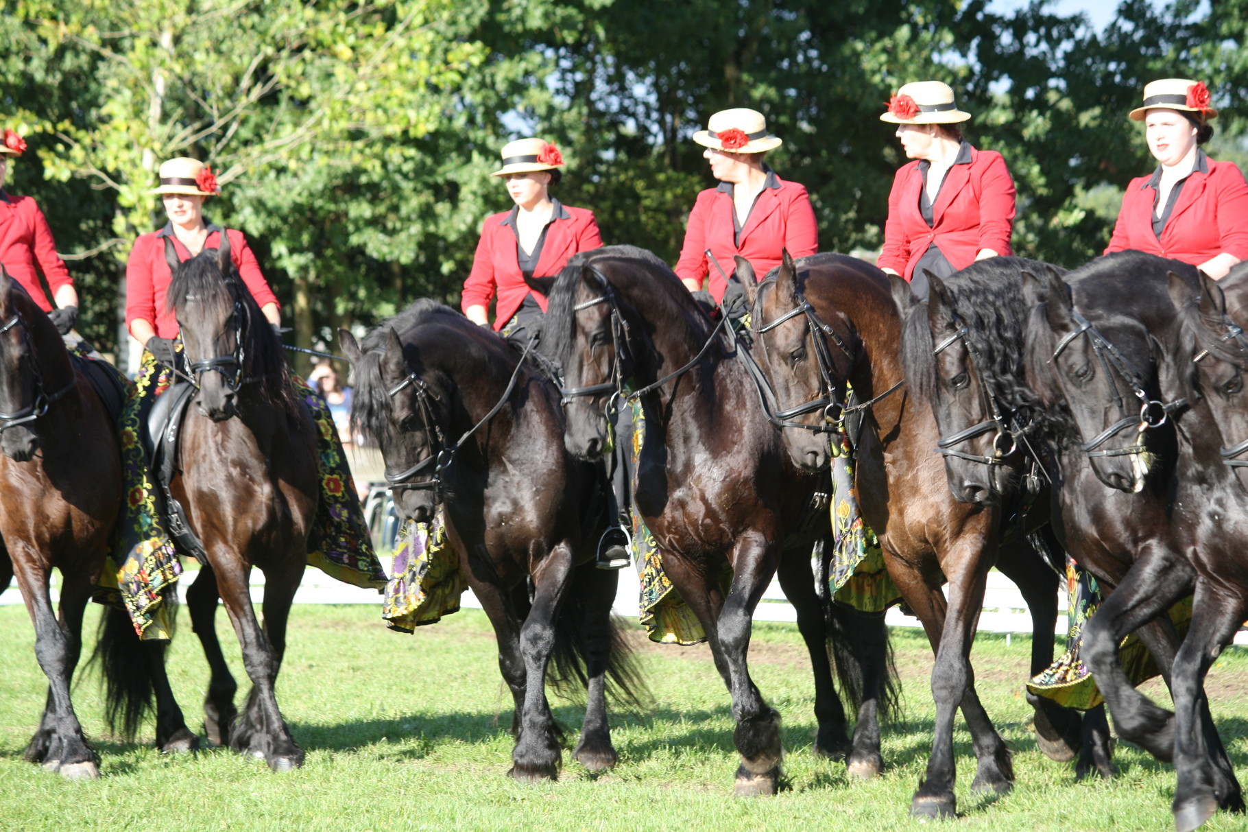 Show Sint Michiels Gestel september 2015