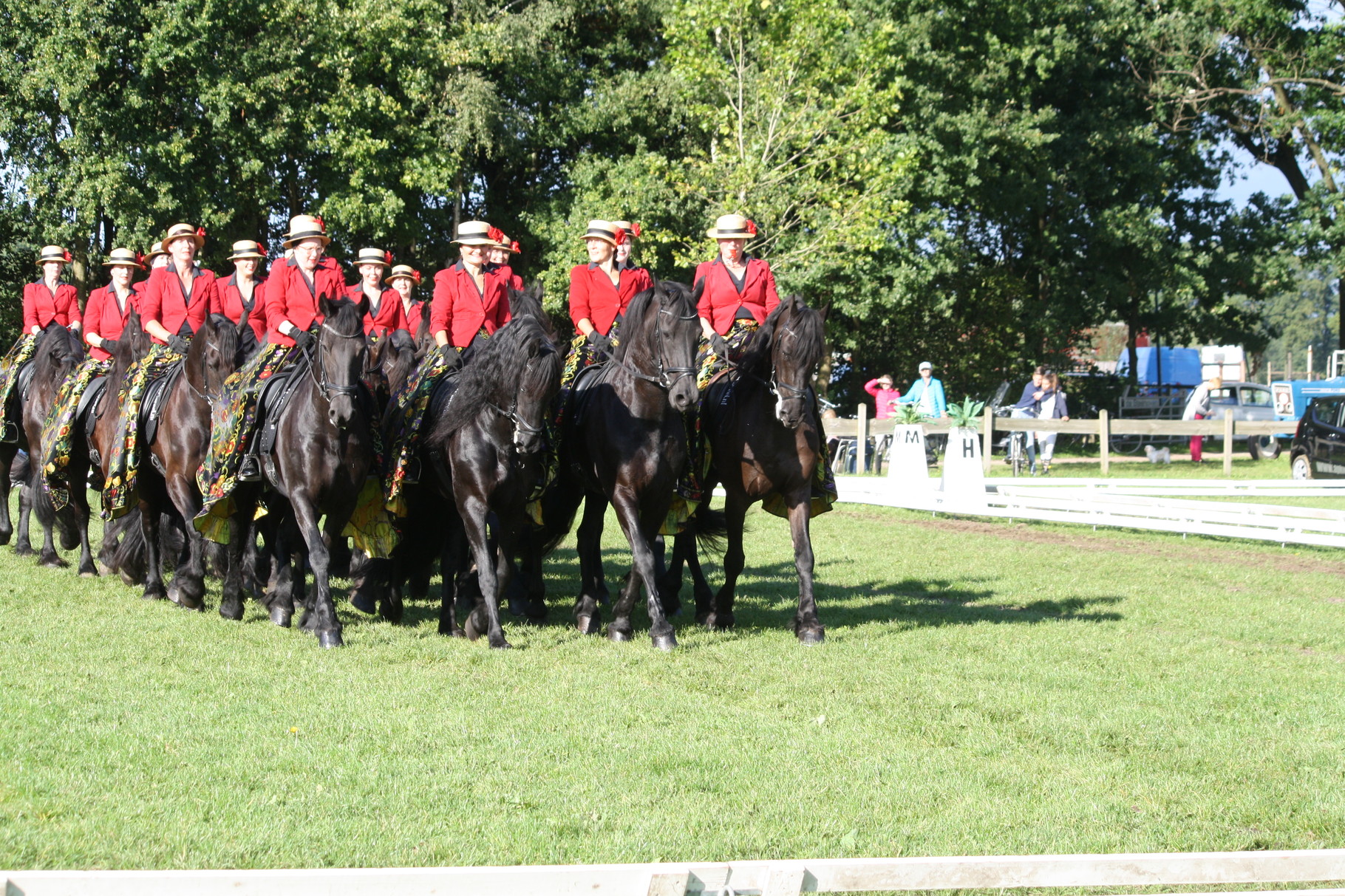 Show Sint Michiels Gestel september 2015