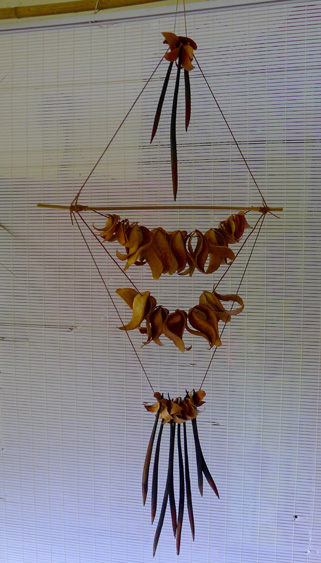 Suspensions cosses mahogany/graines de palétuvier/lianes-racines/bambou- Caroline Delannoy