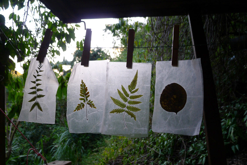 Herbier- feuilles /papier Caroline Delannoy