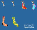 5º primaria