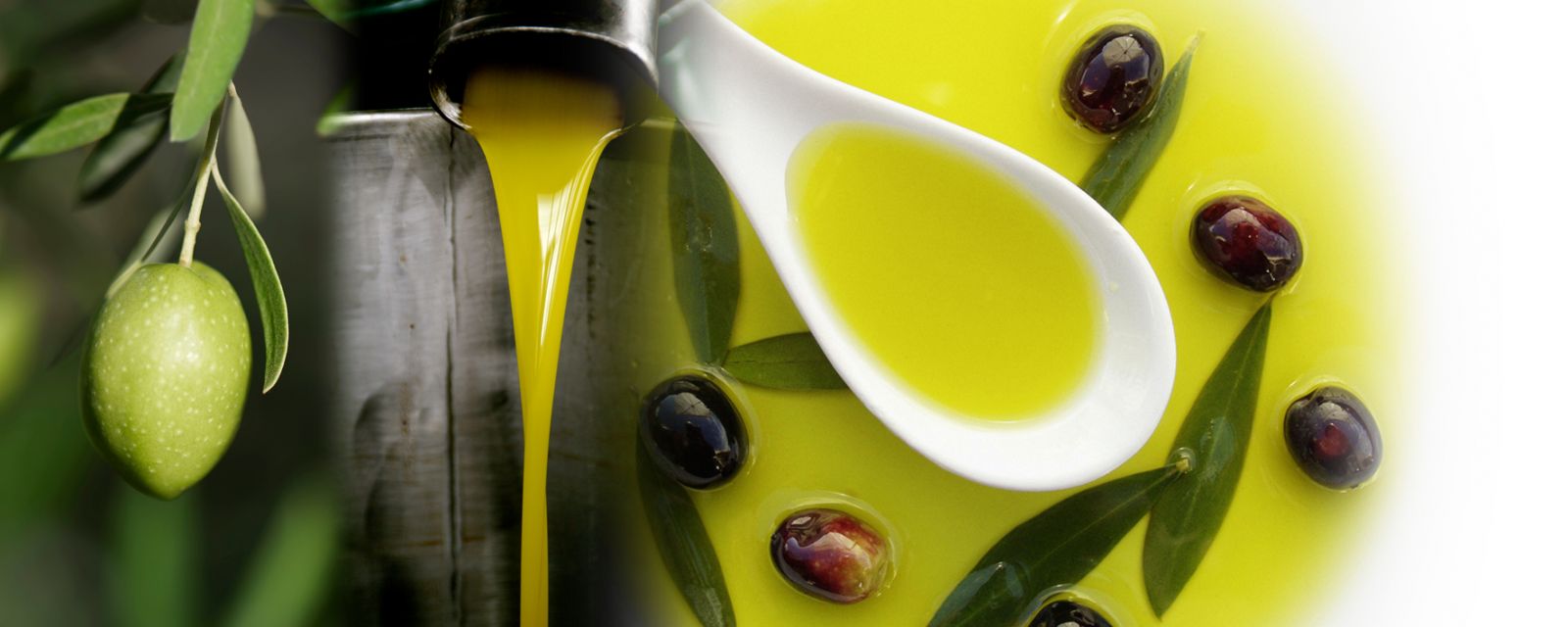 健康のために飲むオリーブオイル Drinking Olive Oil for Your Health ホームページ