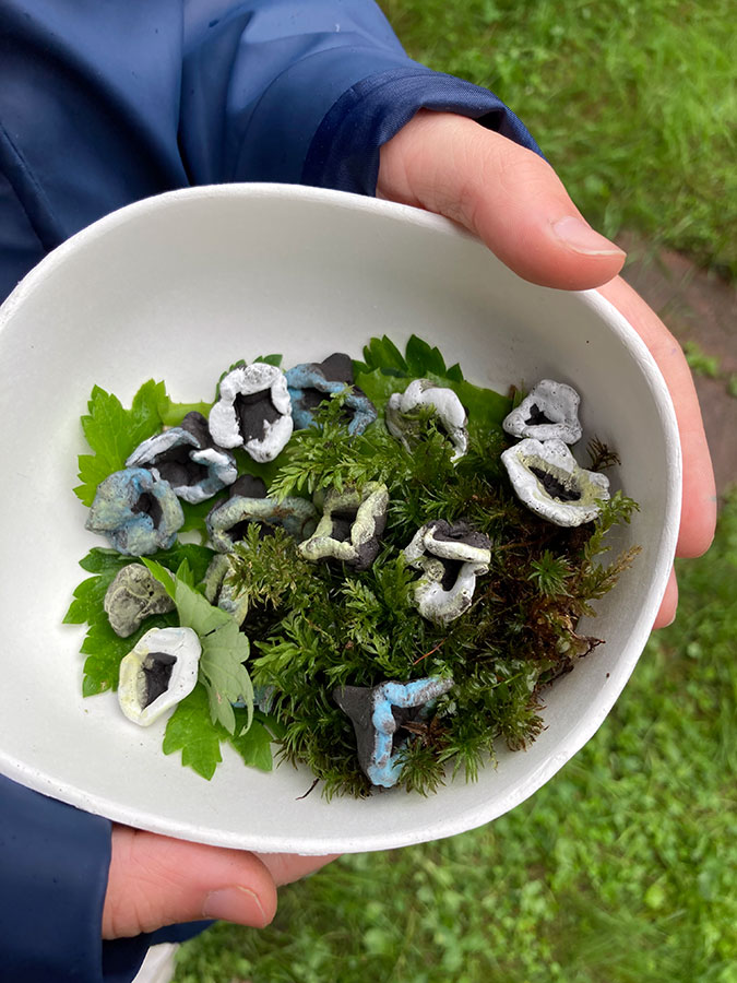 Tonblumen und "Pinch Pots"