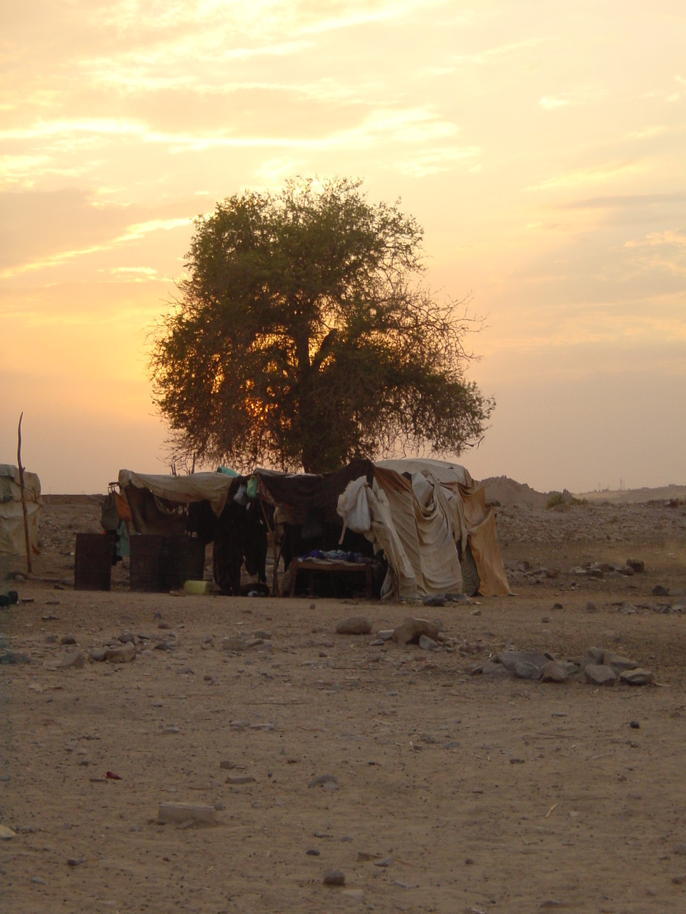 Bei den Beduinen / Süd Ägypten 