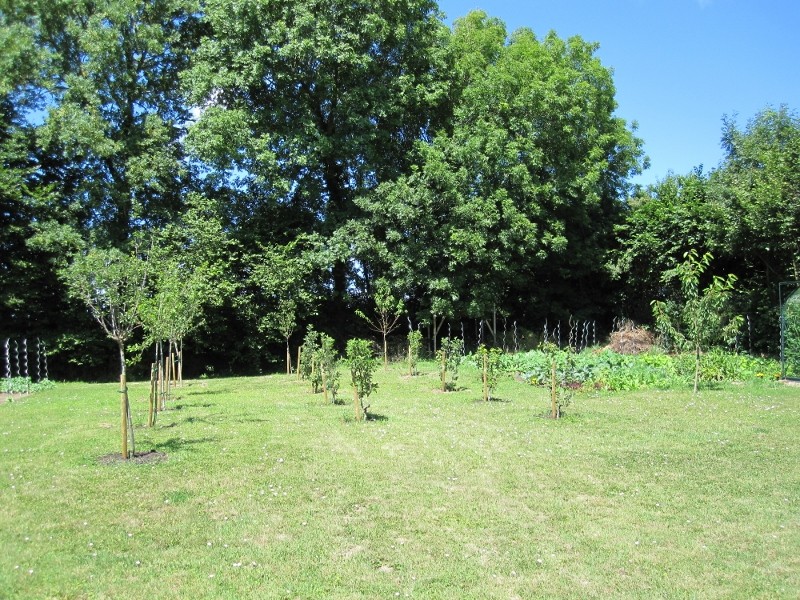 Le verger après la plantation.