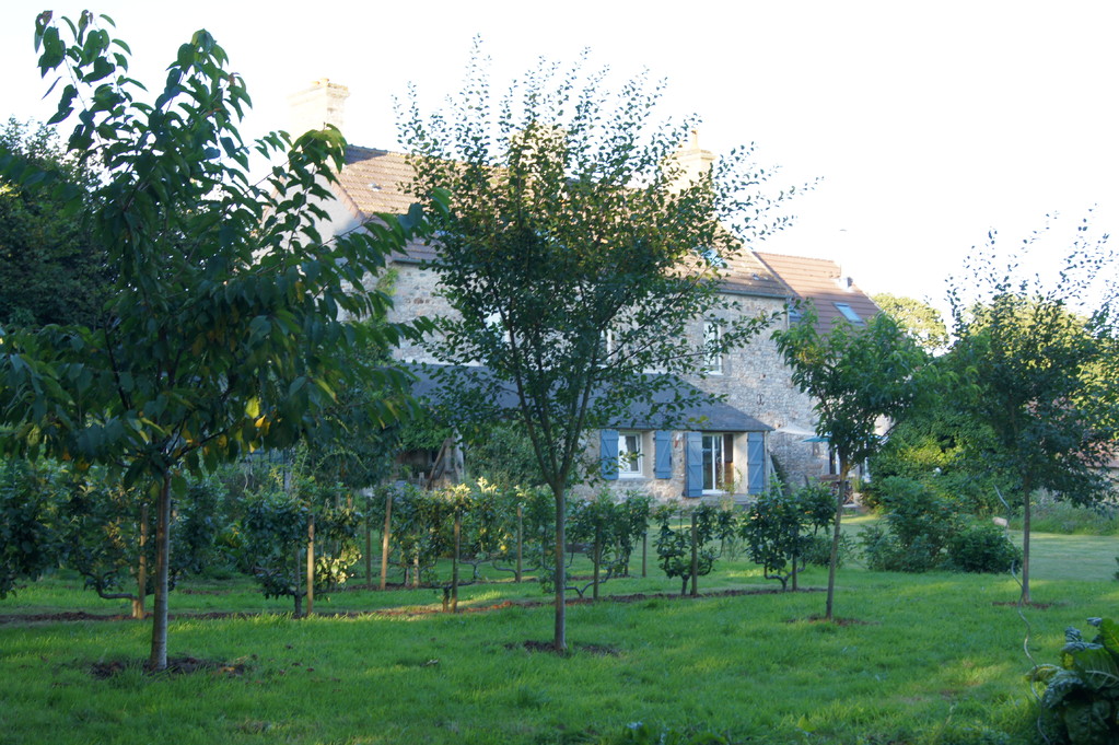 La maison vue du verger au soleil couchant.