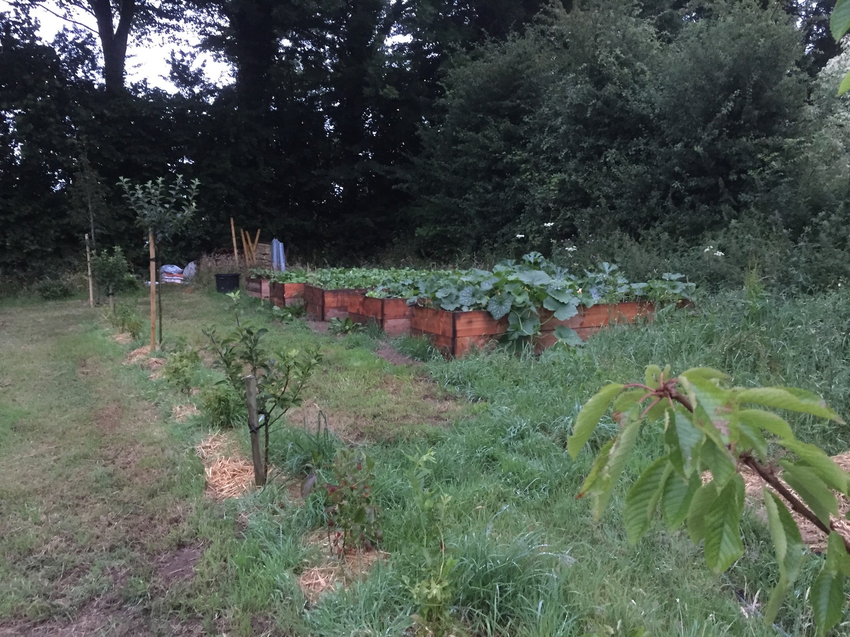 Mes nouveaux bacs en bois à légumes. 50 cm de haut, le pied pour travailler.