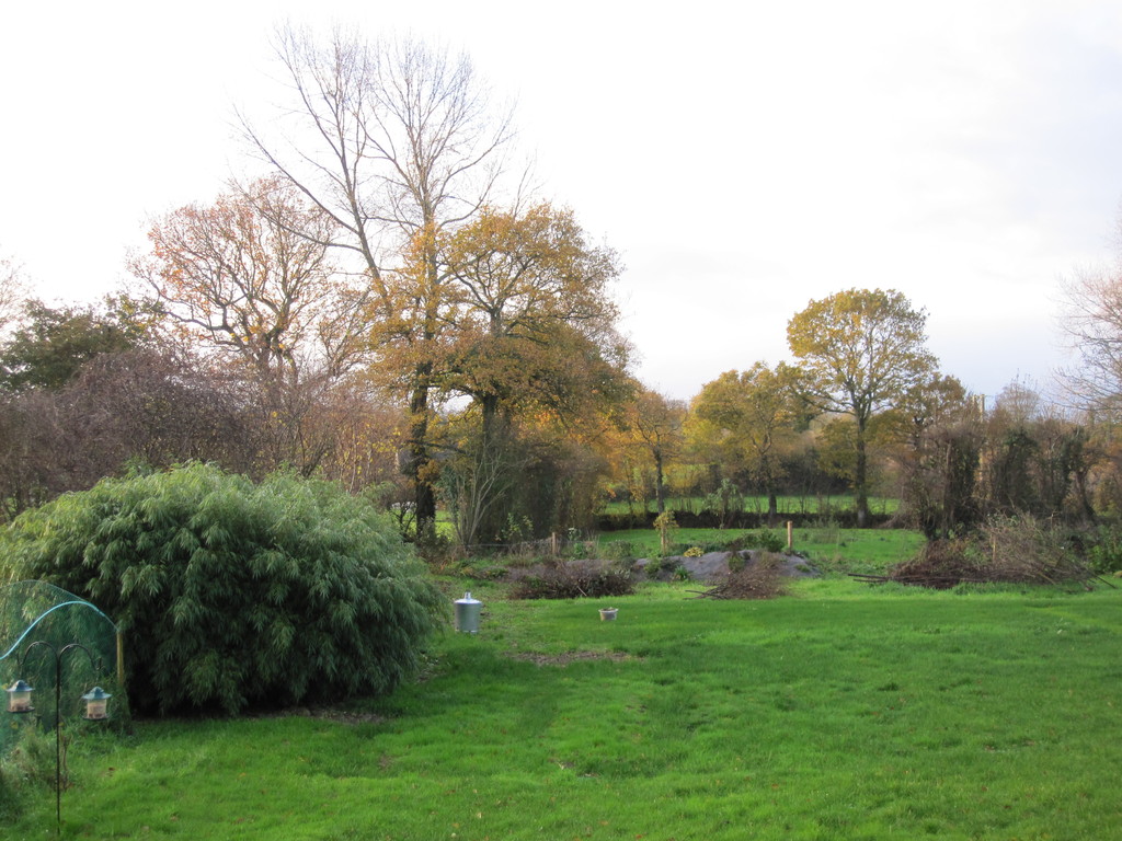 Le jardin au sortir de l'hiver.