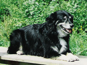 Max (1990 - 2006)