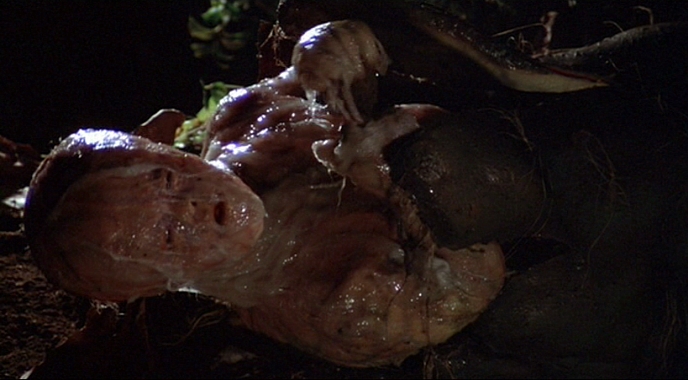 Szenenfoto aus dem Film "Die Körperfresser kommen" (Invasion of the Body Snatchers, USA 1978) von Philip Kaufman; ein Pod