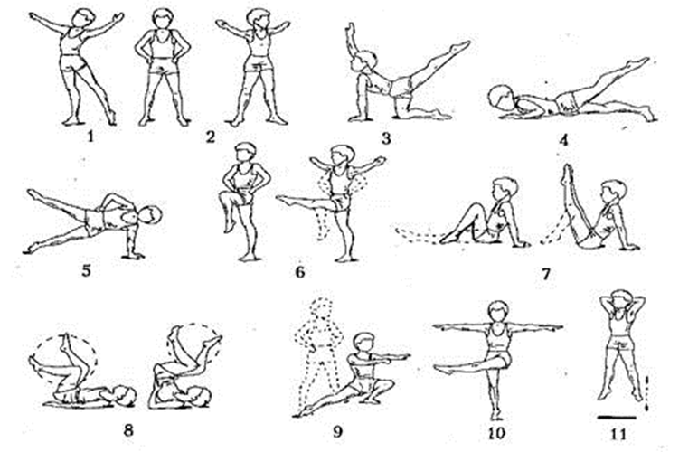 особливості підбору фізичних вправ. вправа или вправо. общая физическая подготовка упражнения. общеразвивающие упражнения с теннисным мячом. контроль за рівнем розвитку витривалості.