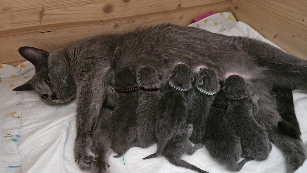 8 Wunder sind am 3. Oktober geboren 