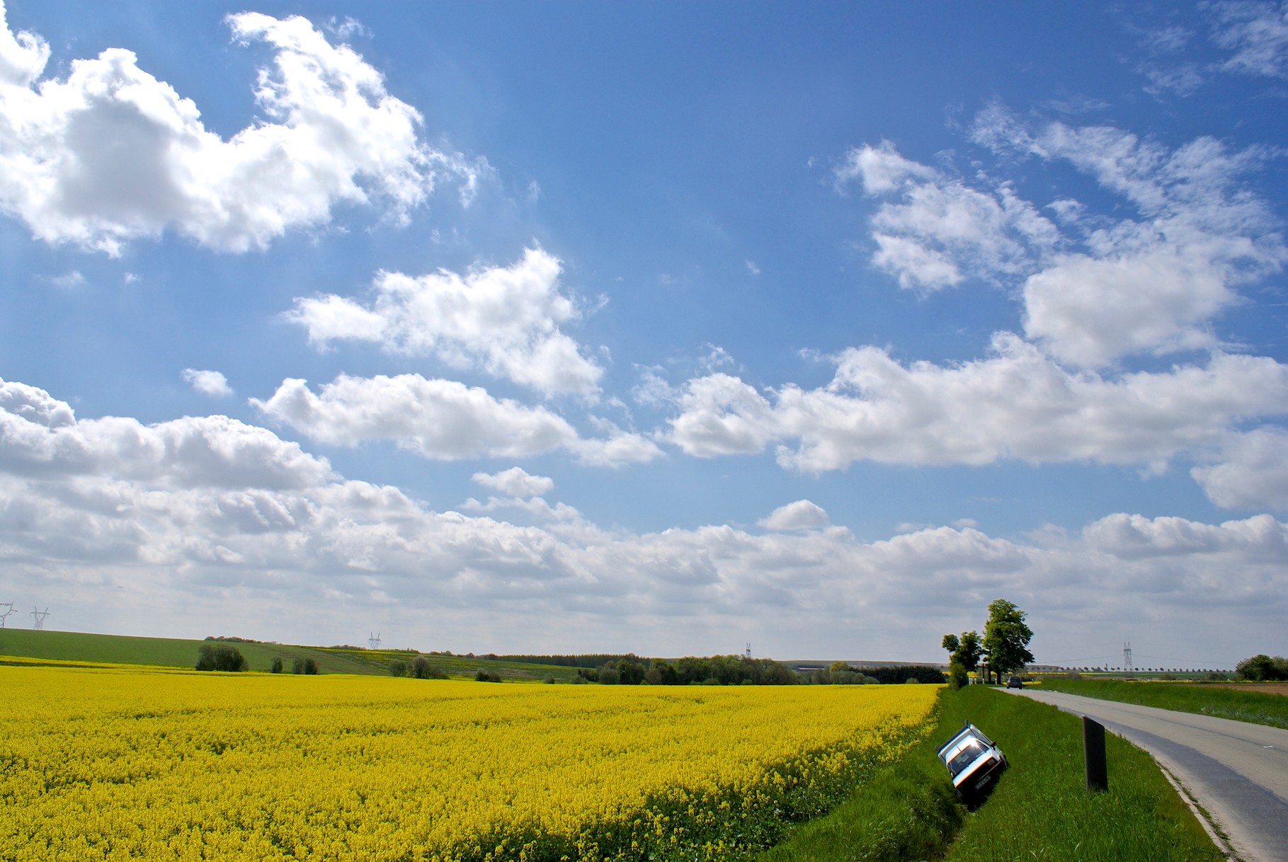 Colza, Série Insolite, Moussy-le-Vieux, A. Figgis 2013