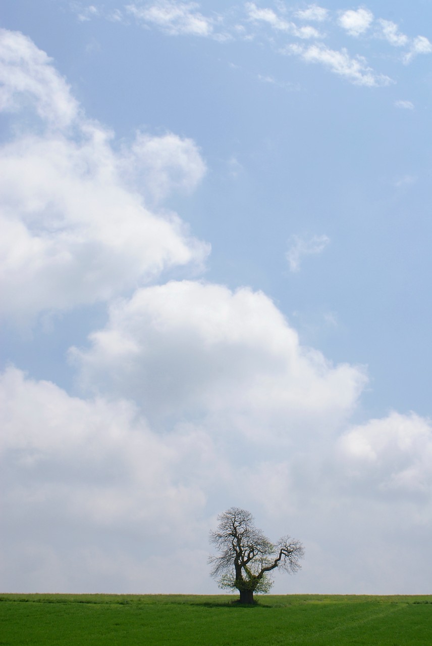 Un lien entre ciel et terre, Série Seul en Terre, A. Figgis 2013