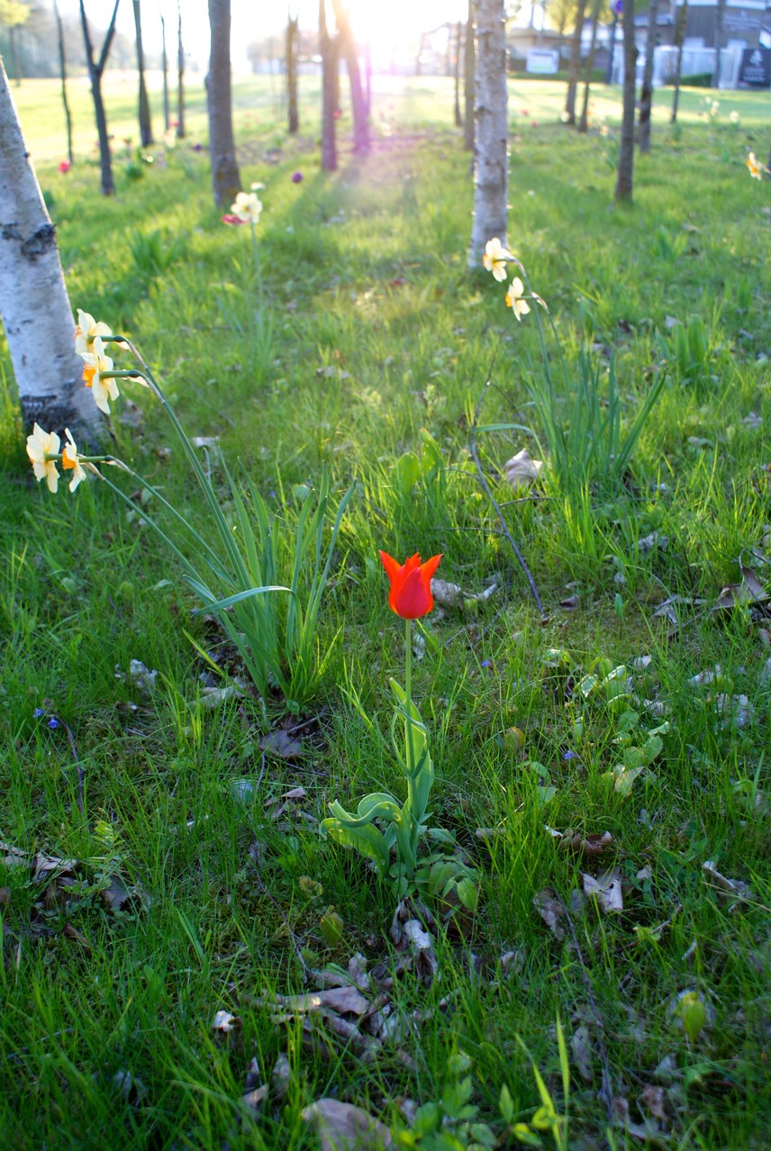 Sans titre, Série Sans-titre, environs de Marines, A. Figgis 2013
