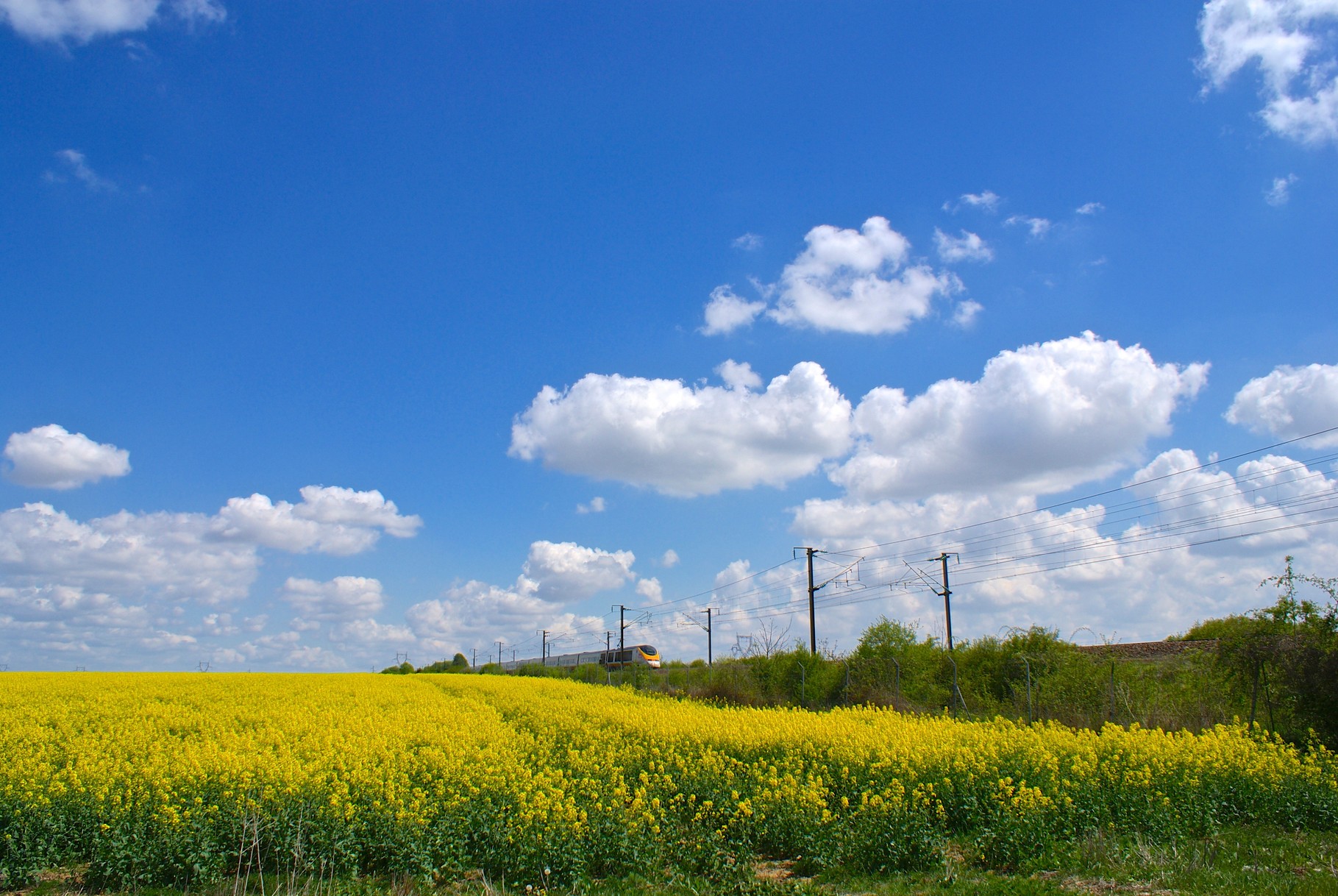 TGV, Série Connexions, environs d’Ermenonville, A. Figgis 2013