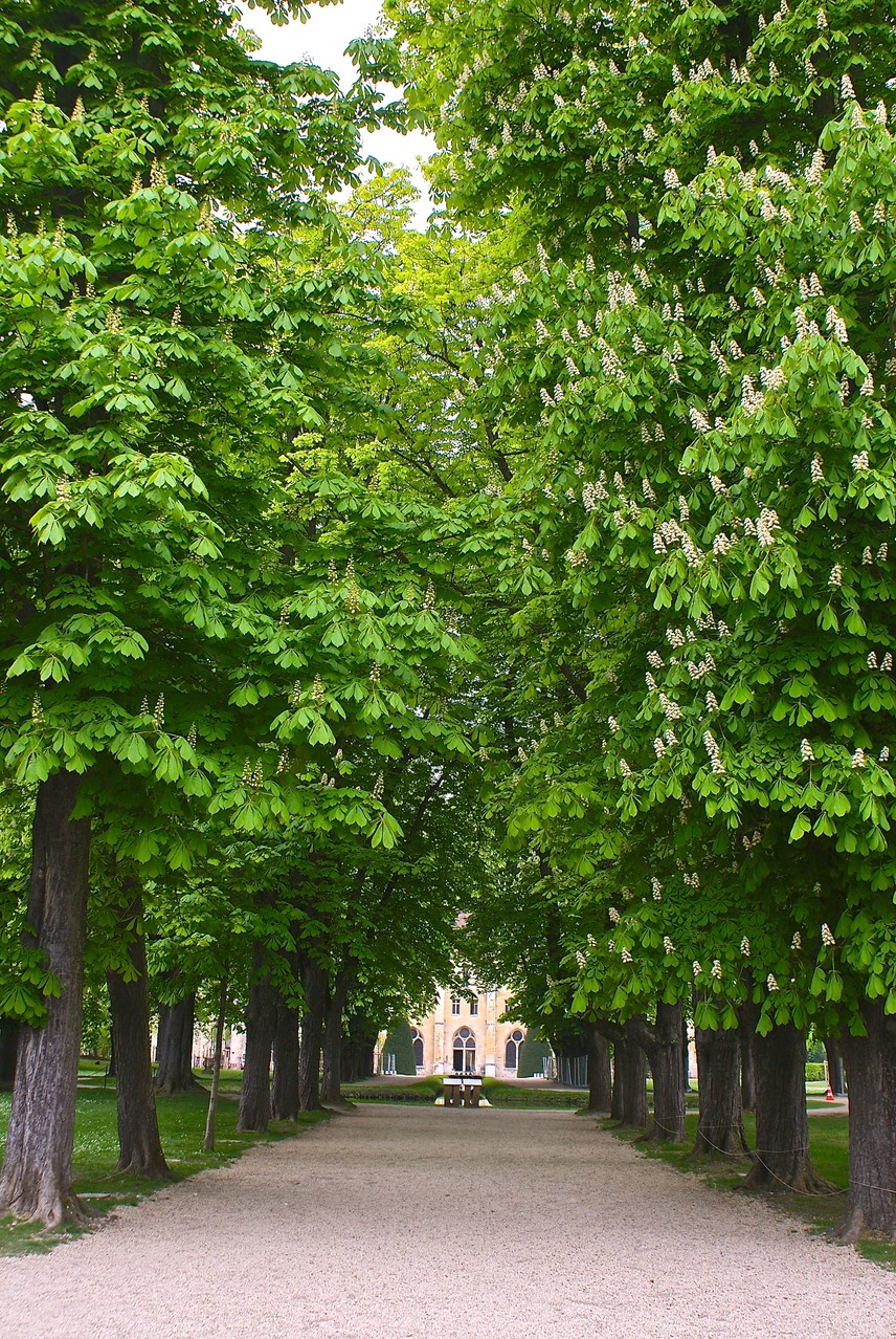 Royaumont, Série Monuments et Institutions, environs de Viarmes, A. Figgis 2013