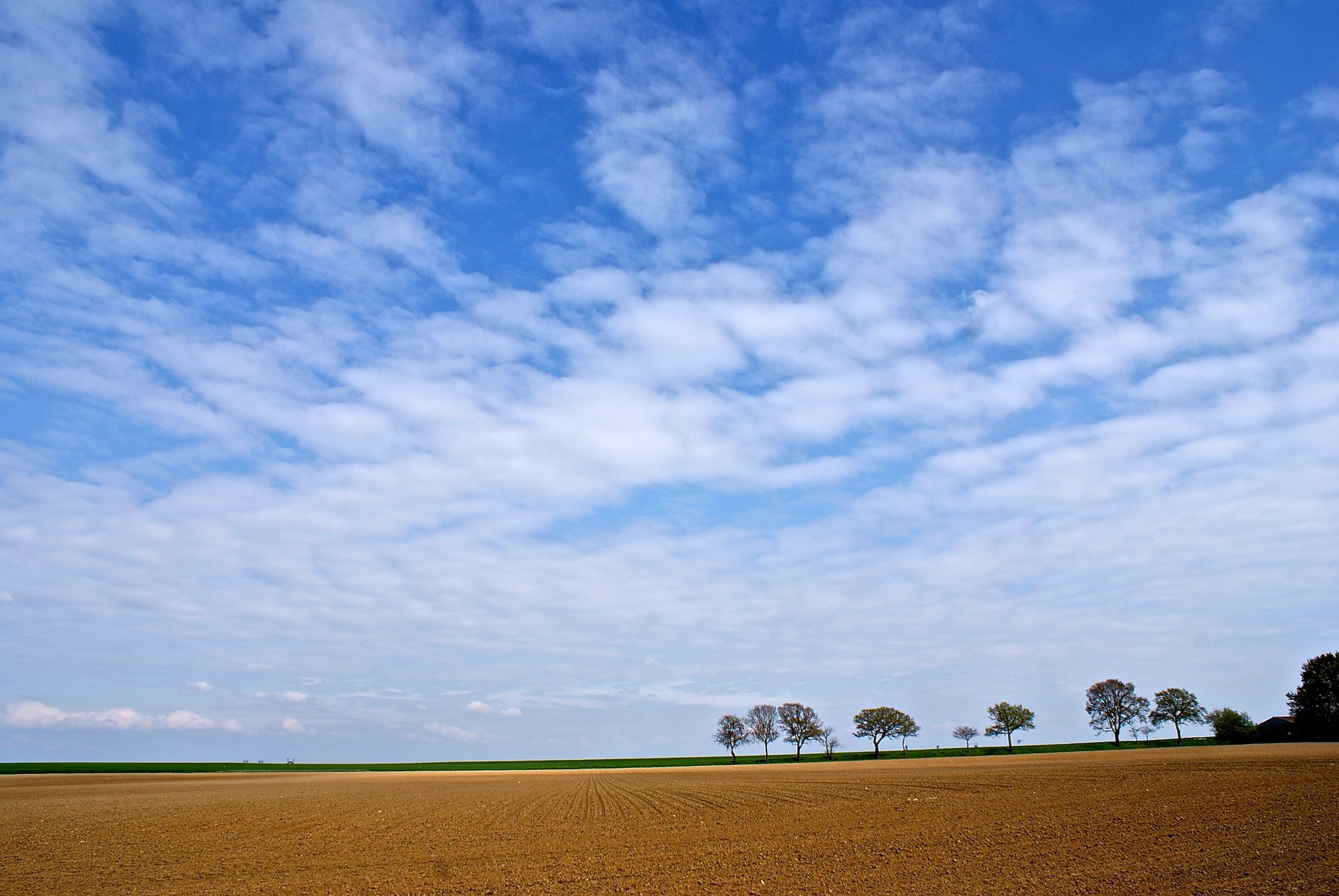 Vexin, Série paysages d’Ile de France, environs de Magny, A. Figgis 2013