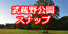 武蔵野公園スナップ