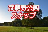 武蔵野公園スナップ