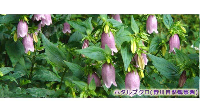 2506HP4_060610_19