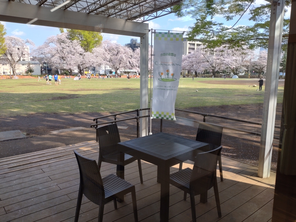 桜🌸の季節はテラス席でお花見も