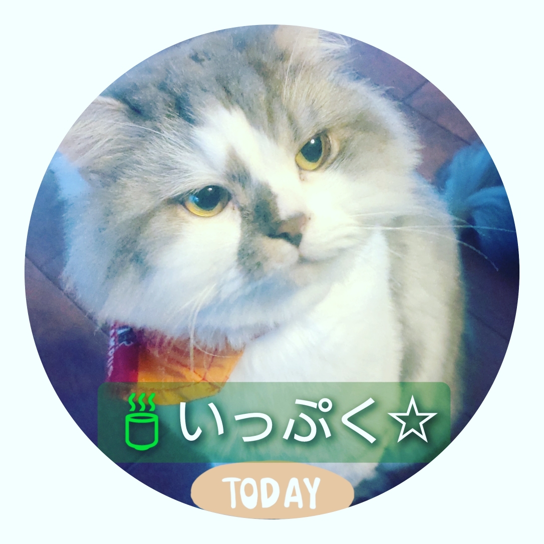 いっぷくのシンボル猫 ゴウちゃん