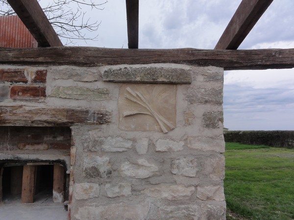 l'épis de Blé