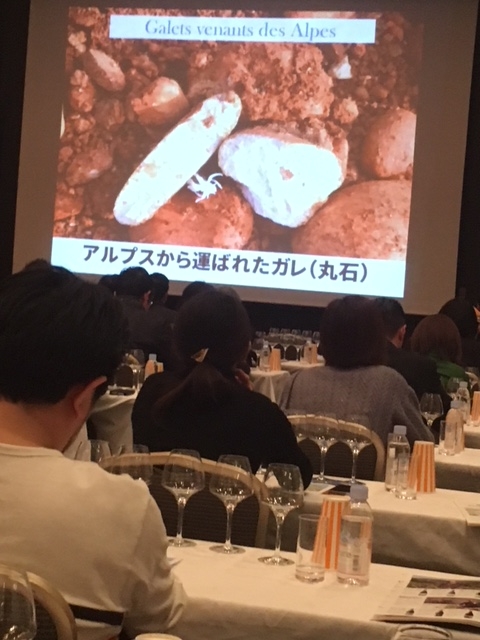 ローヌ特有の大きくて丸い石が畑にゴロゴロ