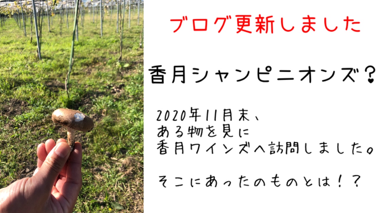 2020年11月25日　香月シャンピニオンズ？